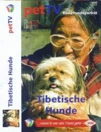 Video: Tibetische Hunde - Rassehundeporträt  bei Amazon.de kaufen